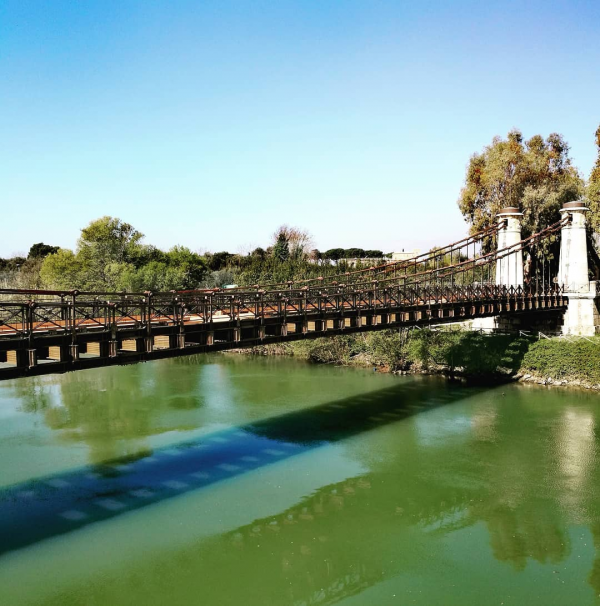 Il ponte Real Ferdinando (detto anche Ferdinandeo) sul Garigliano - Foto di Paolo Pizzo